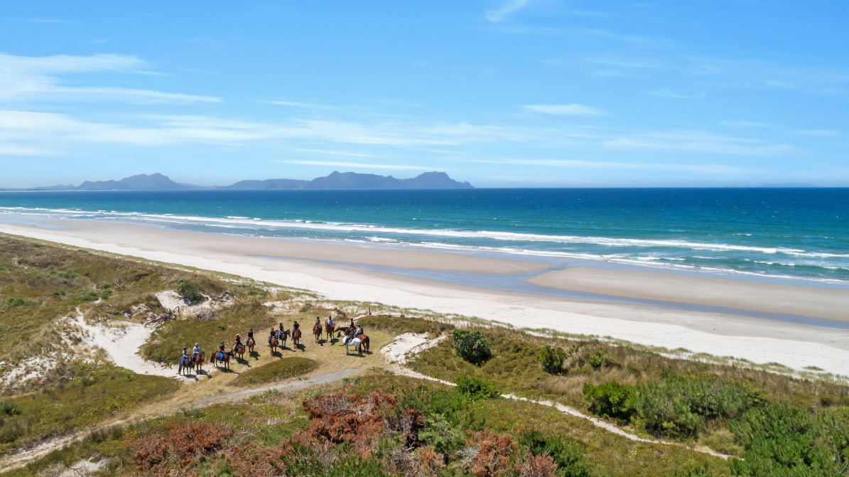 Group horse riding experience