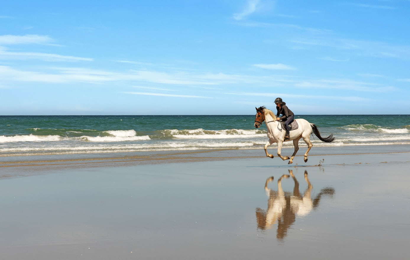 Private horse riding trek experience