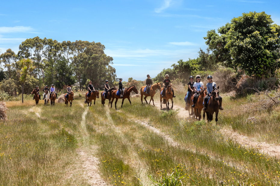 Group riding through bushland near Uretiti Beach