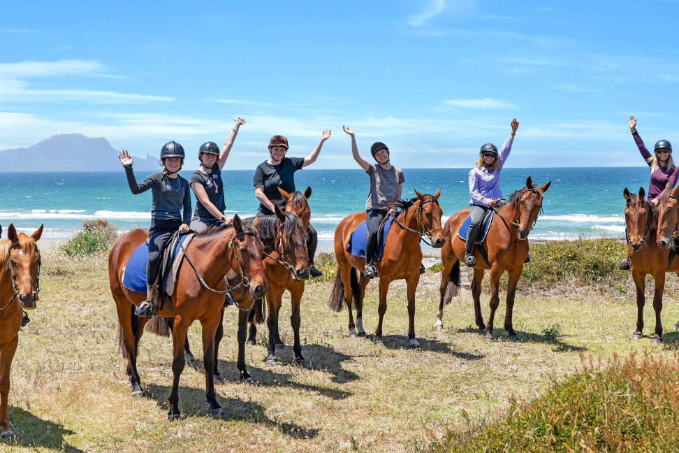 Group horse trek along the beach in Bream Bay