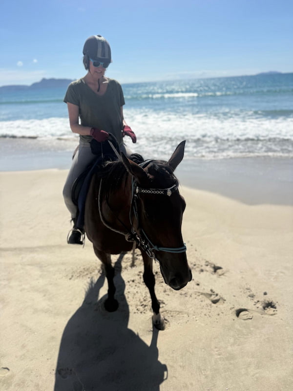 Healing with horses experience