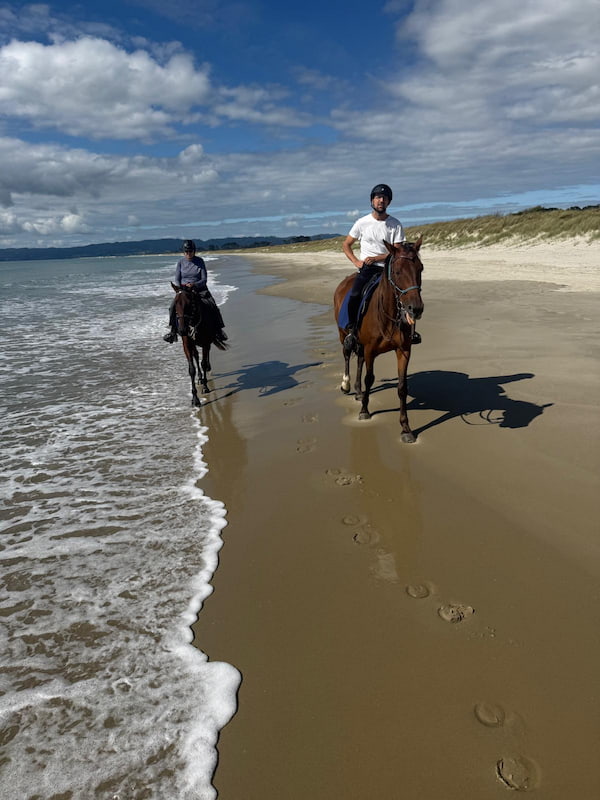 Horse therapy interaction