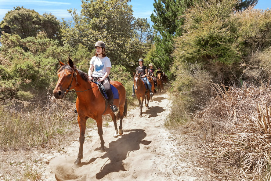 Children riding through native bush in Waipu